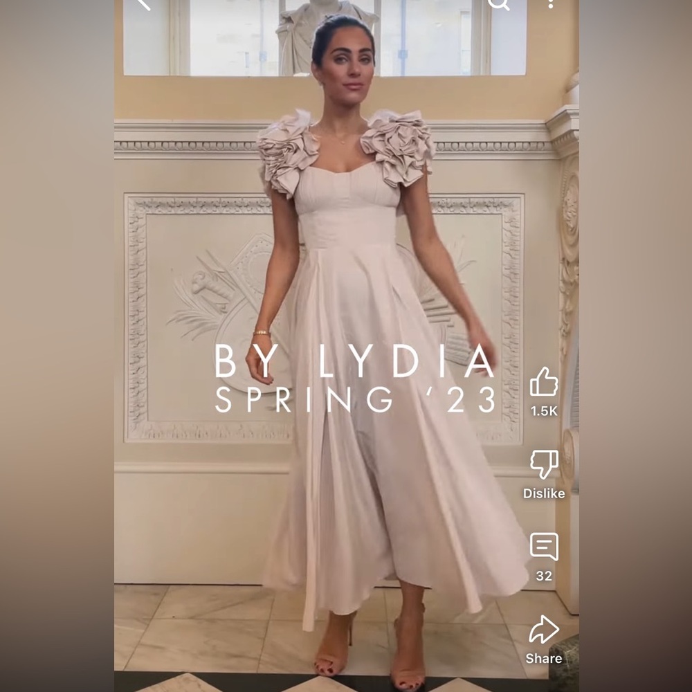 Blush dress Lydia spring23 size 4